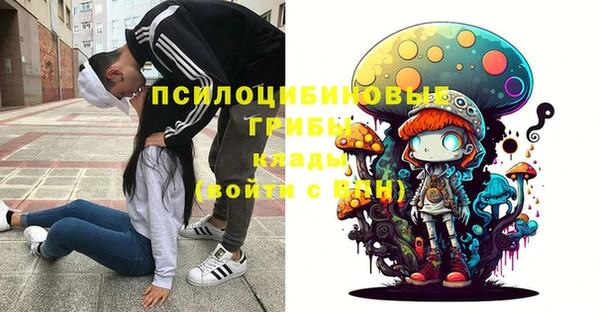 хмурый Козловка